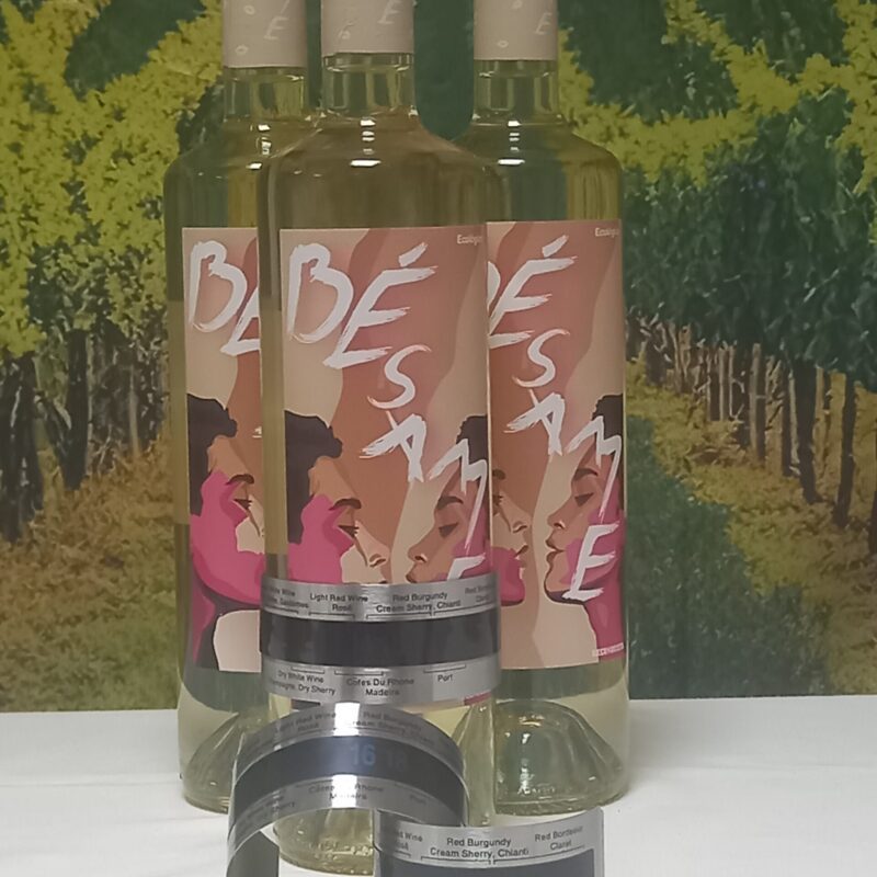 Medidor de Temperatura de botella