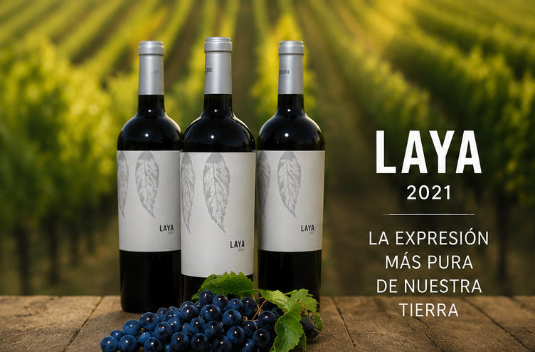 Laya 2024 x3