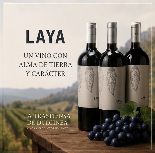 Laya 2024 x3 - Imagen 2
