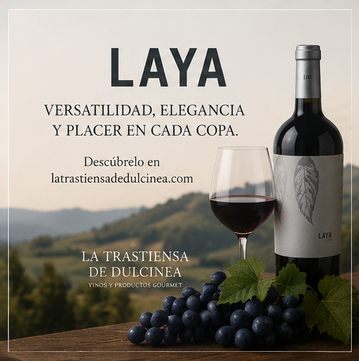Laya 2024 x3 - Imagen 6